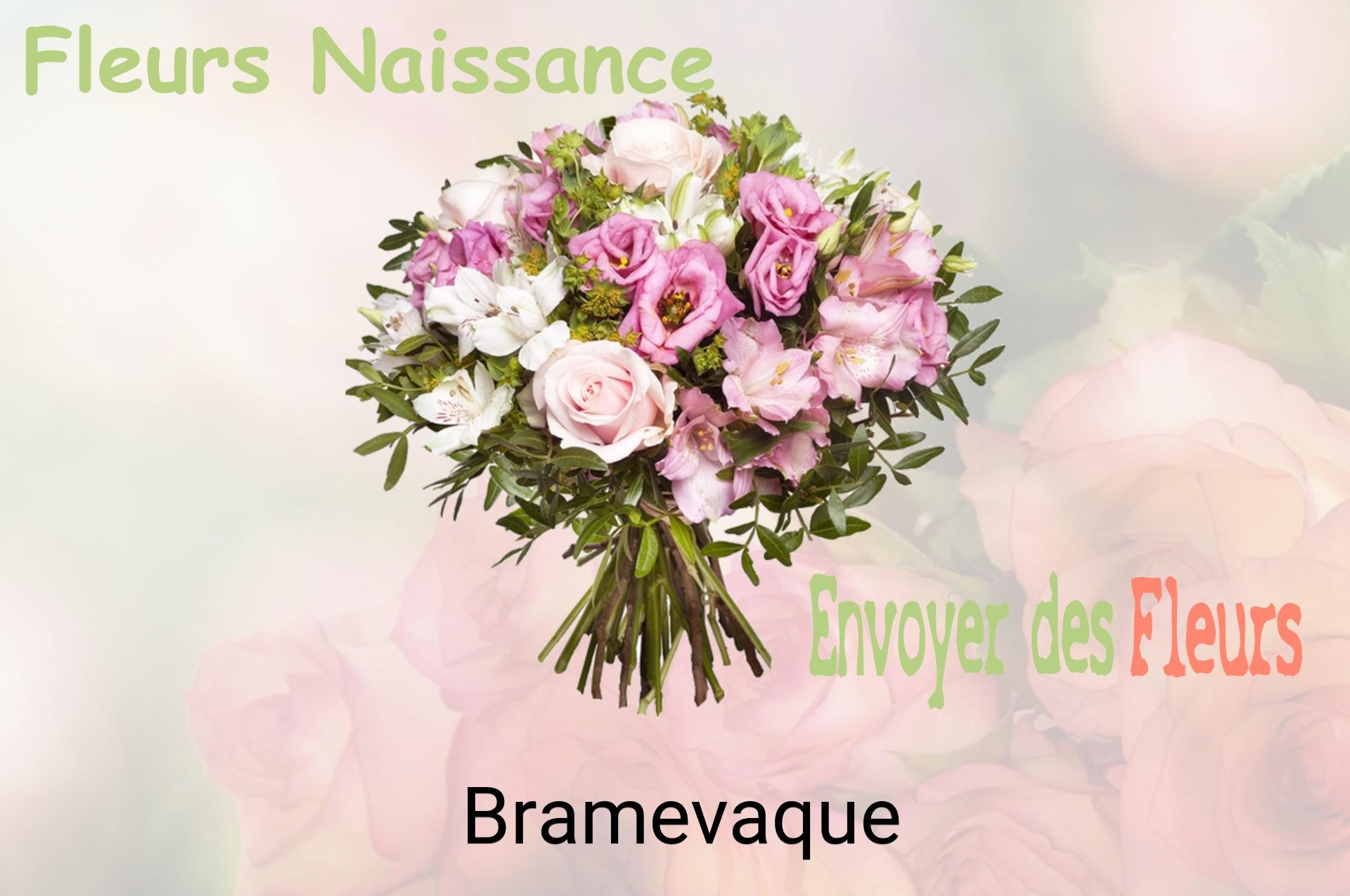 Bouquet de fleurs de naissance livré à Bramevaque